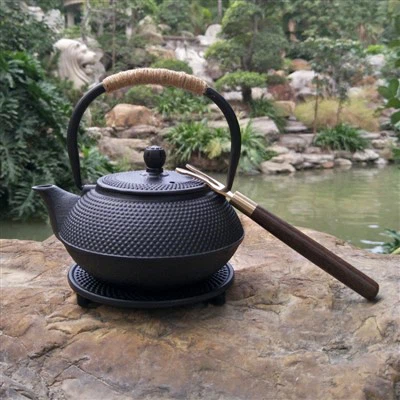 Chinesische Teekanne aus Gusseisen